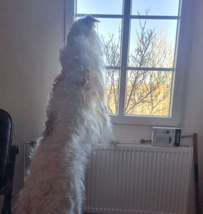 120. Fotochallenge-Beitrag-Bild