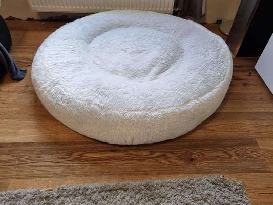 Windhunde - Treffen der besonderen Schönheiten
HERZLICH WILLKOMMEN-Beitrag-Bild