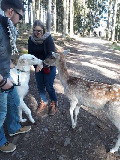 Fotochallenge Nr. 51 "Euer Hund mit anderen Tieren"-Beitrag-Bild