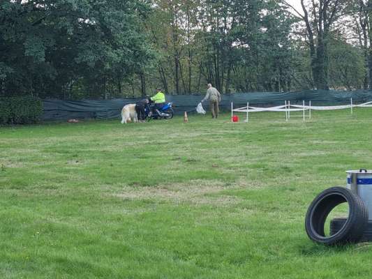 Windhunde - Treffen der besonderen Schönheiten
HERZLICH WILLKOMMEN-Beitrag-Bild
