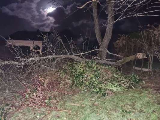 Windhunde - Treffen der besonderen Schönheiten
HERZLICH WILLKOMMEN-Beitrag-Bild