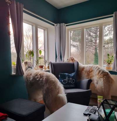 120. Fotochallenge-Beitrag-Bild