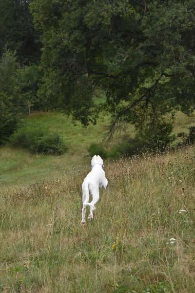 Hier ist der Spaßthread. Zum Schmunzeln und Kaputtlachen-Beitrag-Bild