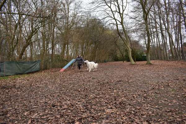 Windhunde - Treffen der besonderen Schönheiten
HERZLICH WILLKOMMEN-Beitrag-Bild