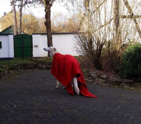 Pullis, Jacken, Hütte und alles sonstiges-Beitrag-Bild