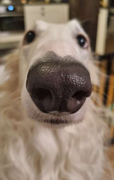 Ratespaß geht weiter-Beitrag-Bild