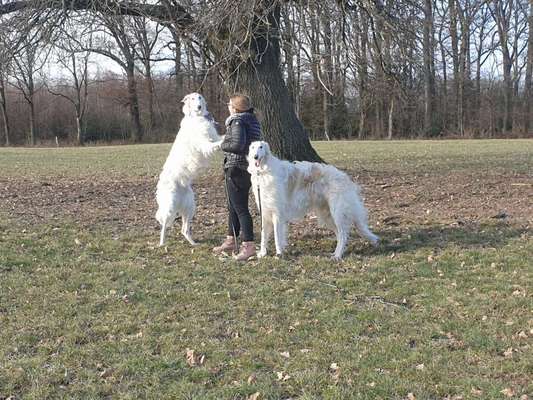 Windhunde - Treffen der besonderen Schönheiten
HERZLICH WILLKOMMEN-Beitrag-Bild