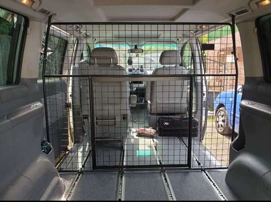 Windhunde - Treffen der besonderen Schönheiten
HERZLICH WILLKOMMEN-Beitrag-Bild