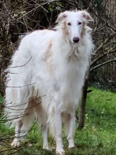 Un...scharf Bilder-Beitrag-Bild