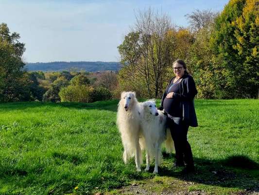 Windhunde - Treffen der besonderen Schönheiten
HERZLICH WILLKOMMEN-Beitrag-Bild