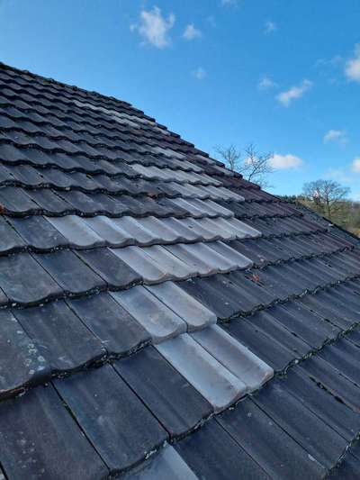 Windhunde - Treffen der besonderen Schönheiten
HERZLICH WILLKOMMEN-Beitrag-Bild