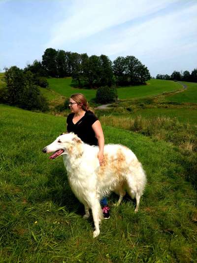 Welpenfotos-Beitrag-Bild