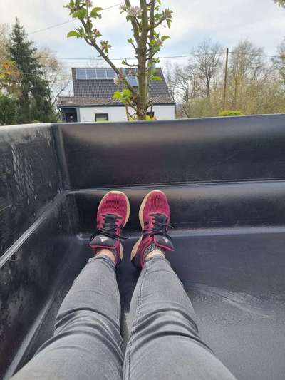 Windhunde - Treffen der besonderen Schönheiten
HERZLICH WILLKOMMEN-Beitrag-Bild