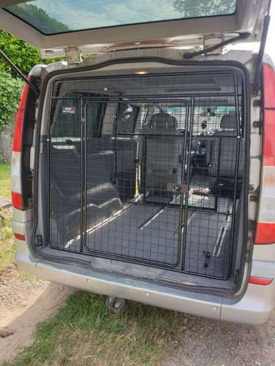 Windhunde - Treffen der besonderen Schönheiten
HERZLICH WILLKOMMEN-Beitrag-Bild