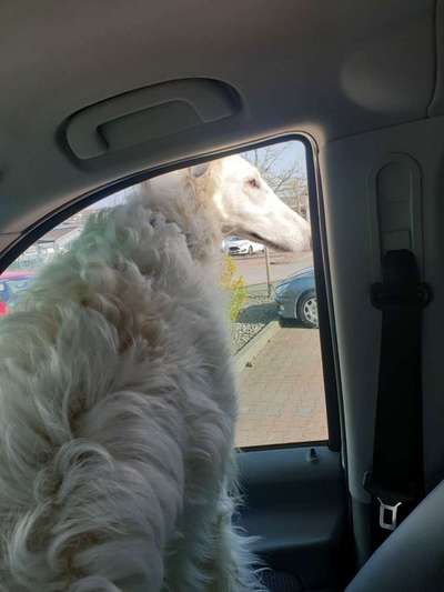 CHALLENGE NR. 18 - ON TOUR-Beitrag-Bild