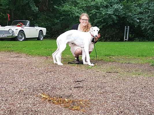 Welpenfotos-Beitrag-Bild