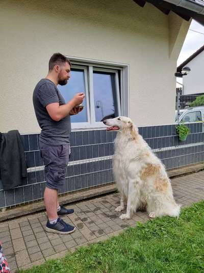 Hier ist der Spaßthread. Zum Schmunzeln und Kaputtlachen-Beitrag-Bild