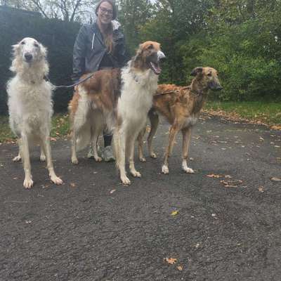 Windhunde - Treffen der besonderen Schönheiten
HERZLICH WILLKOMMEN-Beitrag-Bild