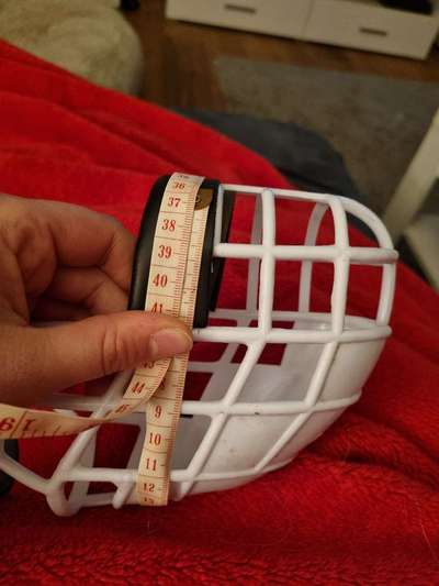 Windhunde - Treffen der besonderen Schönheiten
HERZLICH WILLKOMMEN-Beitrag-Bild