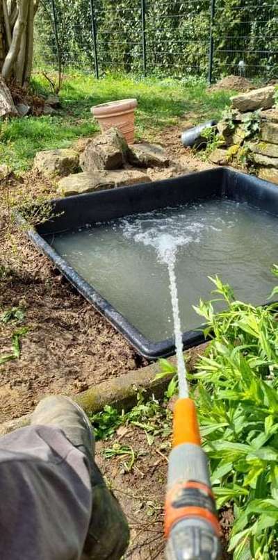 Windhunde - Treffen der besonderen Schönheiten
HERZLICH WILLKOMMEN-Beitrag-Bild