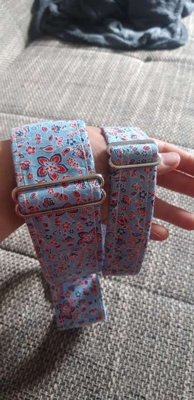 Windhunde - Treffen der besonderen Schönheiten
HERZLICH WILLKOMMEN-Beitrag-Bild