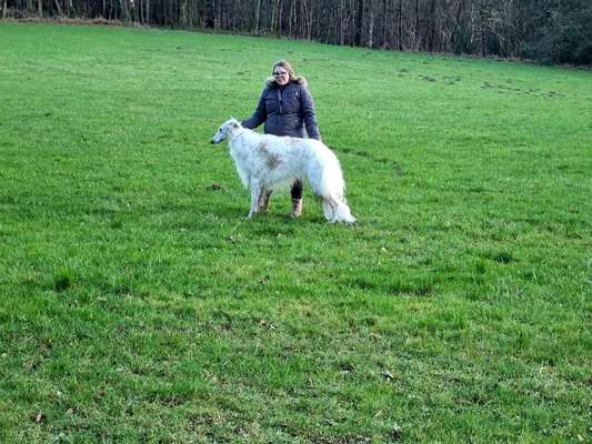 Windhunde - Treffen der besonderen Schönheiten
HERZLICH WILLKOMMEN-Beitrag-Bild