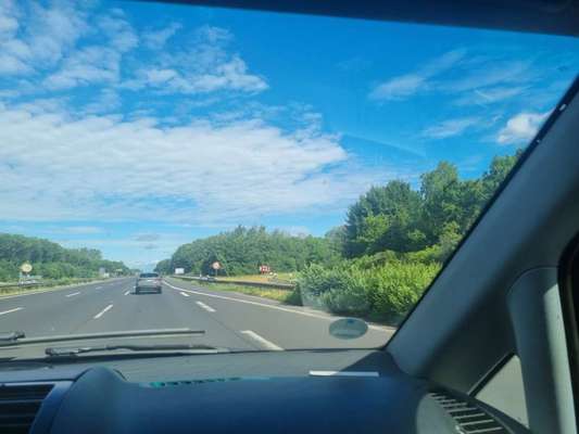 Windhunde - Treffen der besonderen Schönheiten
HERZLICH WILLKOMMEN-Beitrag-Bild