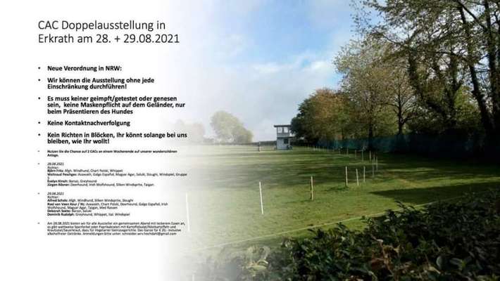 Windhunde - Treffen der besonderen Schönheiten
HERZLICH WILLKOMMEN-Beitrag-Bild