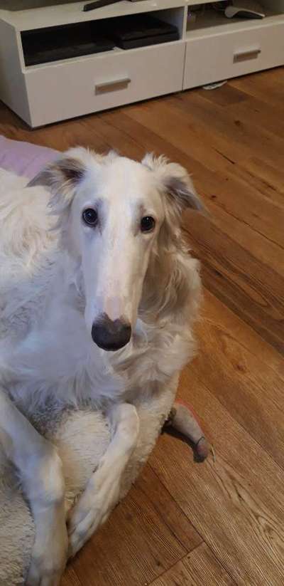 Fotochallange Nr. 57     PORTRÄT.   Beendet!!!!!!!!-Beitrag-Bild