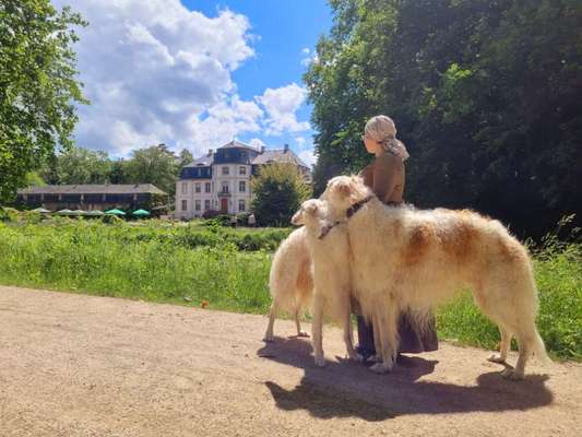 Windhunde - Treffen der besonderen Schönheiten
HERZLICH WILLKOMMEN-Beitrag-Bild