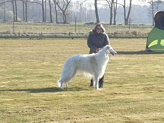 Windhunde - Treffen der besonderen Schönheiten
HERZLICH WILLKOMMEN-Beitrag-Bild