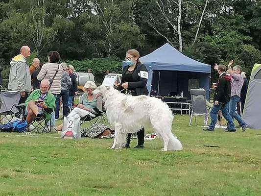 Windhunde - Treffen der besonderen Schönheiten
HERZLICH WILLKOMMEN-Beitrag-Bild