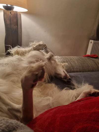 Foto Challange Nr.80-Beitrag-Bild