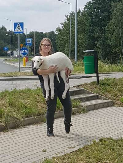 Das erste Foto-Beitrag-Bild