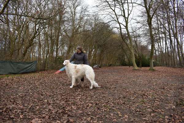 Windhunde - Treffen der besonderen Schönheiten
HERZLICH WILLKOMMEN-Beitrag-Bild