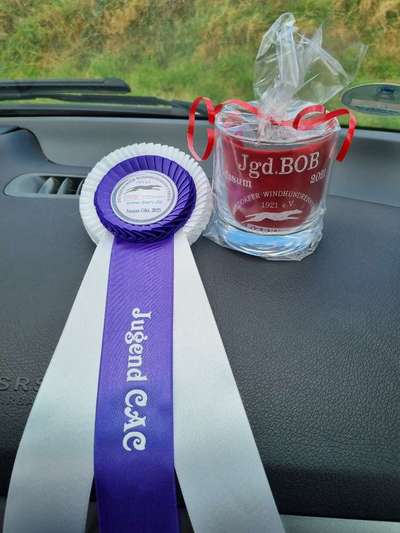 Windhunde - Treffen der besonderen Schönheiten
HERZLICH WILLKOMMEN-Beitrag-Bild