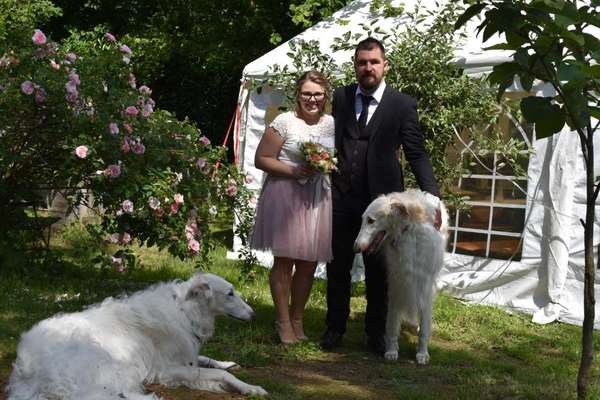 Windhunde - Treffen der besonderen Schönheiten
HERZLICH WILLKOMMEN-Beitrag-Bild