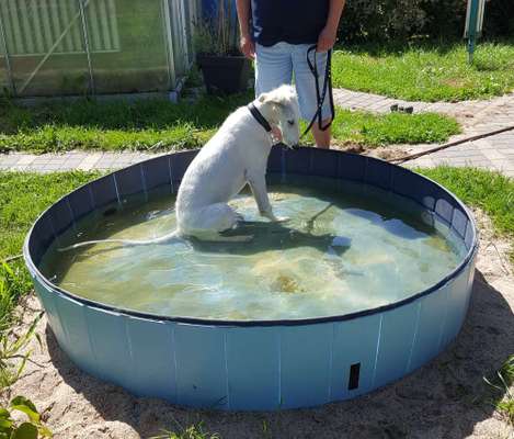 121. Fotochallenge-Beitrag-Bild