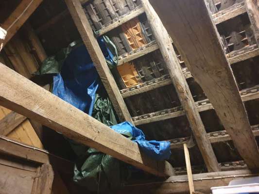 Windhunde - Treffen der besonderen Schönheiten
HERZLICH WILLKOMMEN-Beitrag-Bild