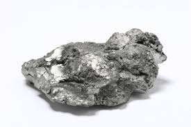 Wie heißt dein Hund?-Beitrag-Bild