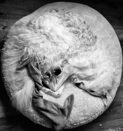 Foto-Challenge 76: Foto in Schwarz-Weiss-Beitrag-Bild