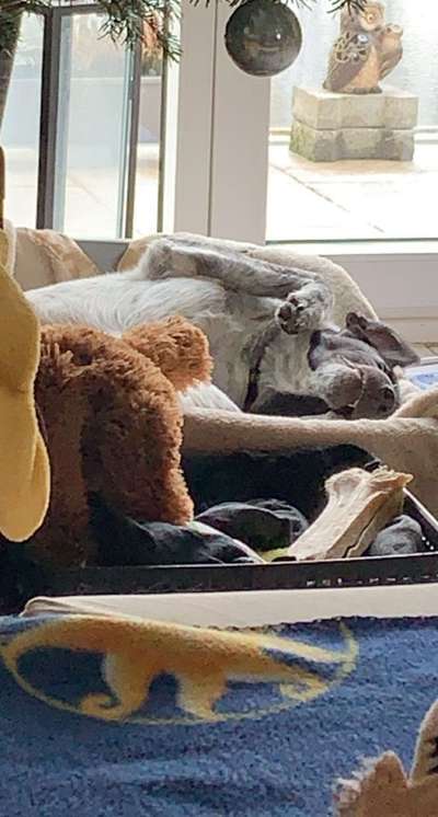 Die unbequemsten und lustigsten Schlafpositionen-Beitrag-Bild