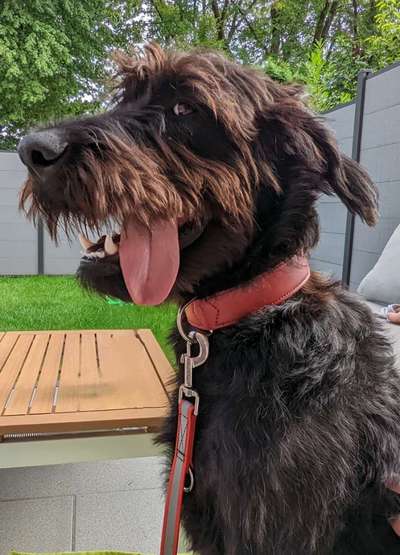 Handyfoto challenge Nr. 13: Waschlappen raus!-Beitrag-Bild