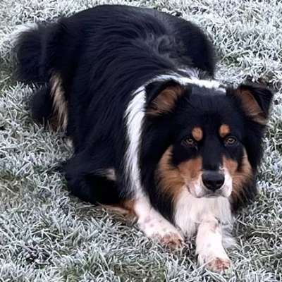 Michael's Profilbild