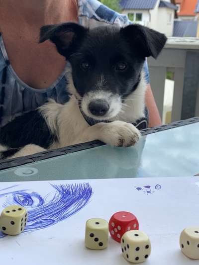 Sie werden so schnell erwachsen ...-Beitrag-Bild