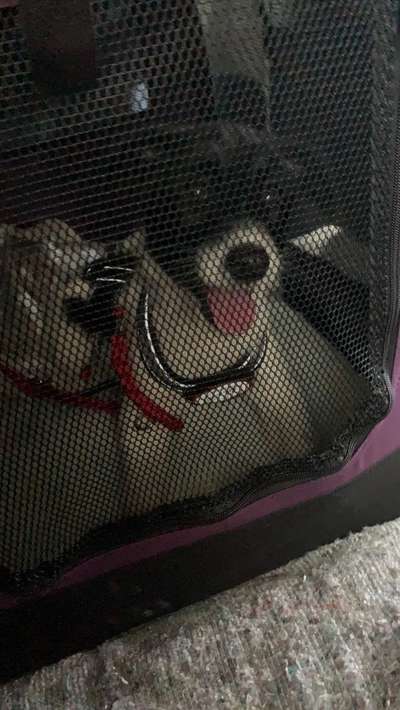 Das erste Foto-Beitrag-Bild