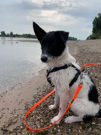 Postet eure schönsten Bilder von Spaziergängen in 2020!-Beitrag-Bild