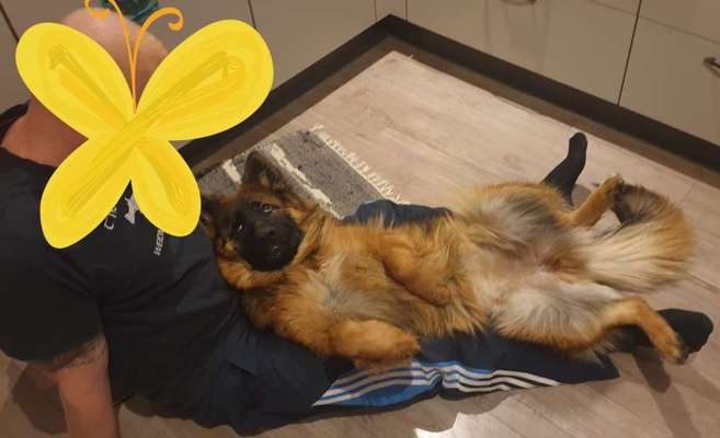 Fotochallenge Nr.65-Beitrag-Bild