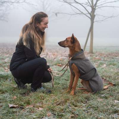 Hundetreffen-Social Walk/ gemeinsamer Spaziergang an der Leine-Bild