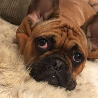 Jessica's Profilbild